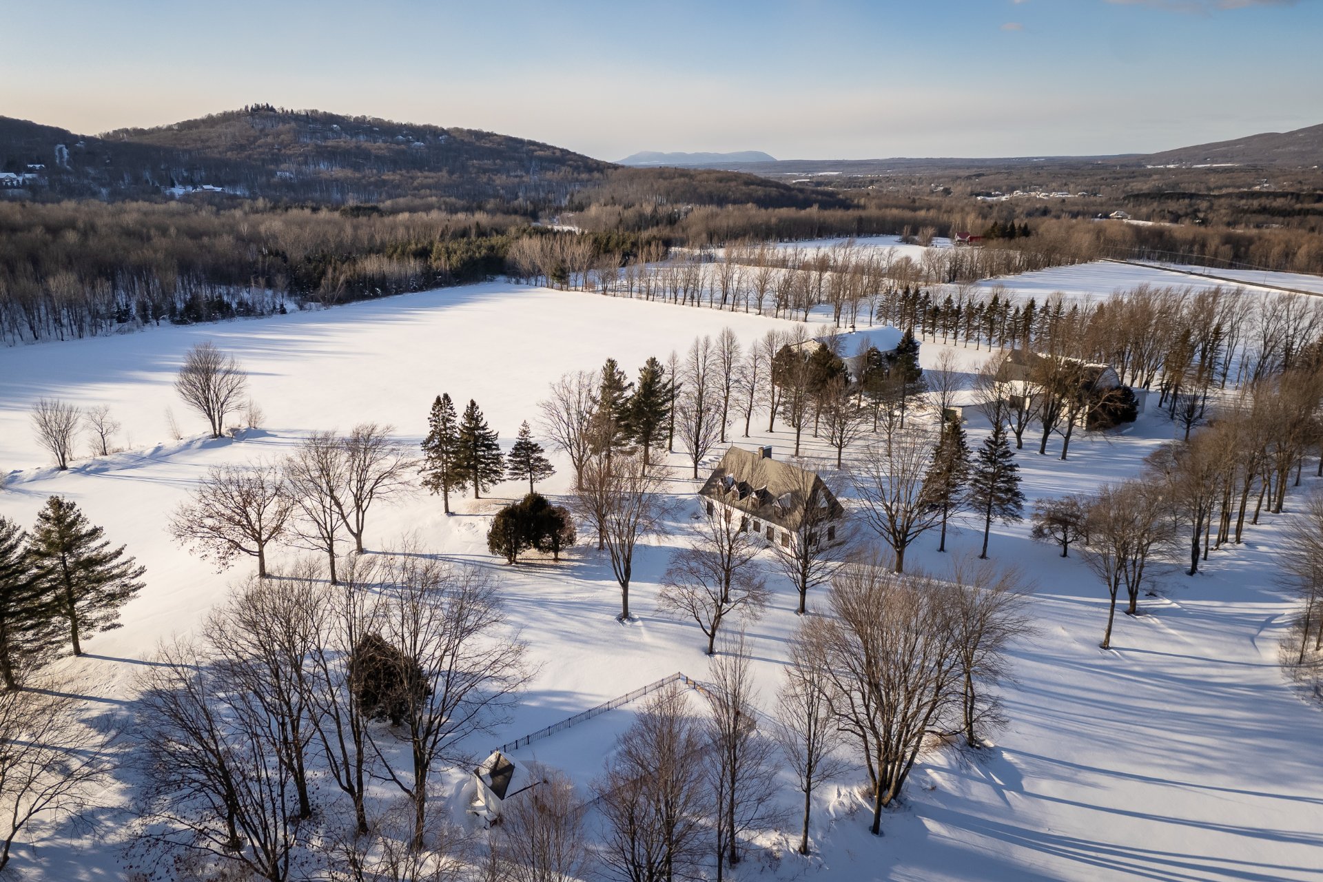 Aerial photo