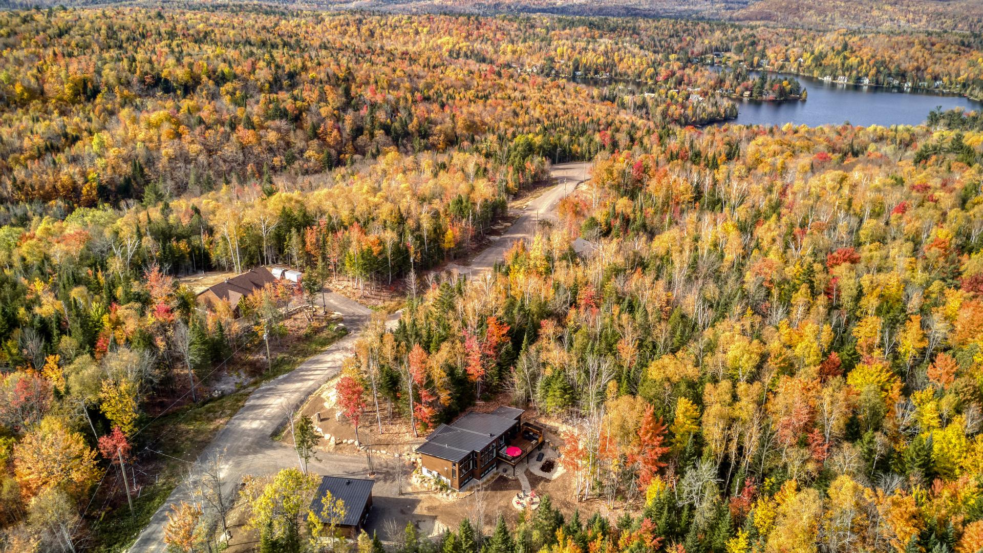 Aerial photo