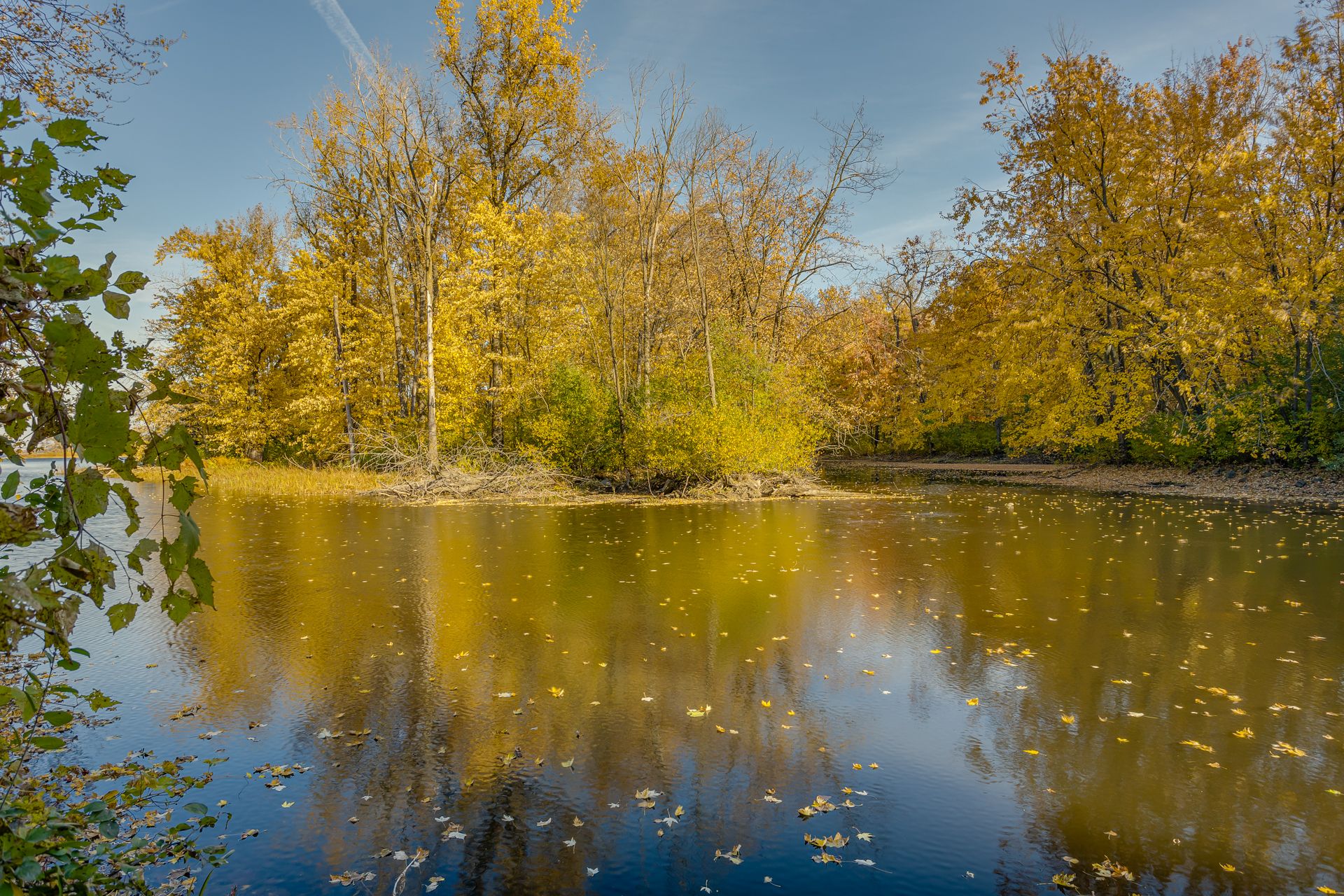 Vue sur l'eau