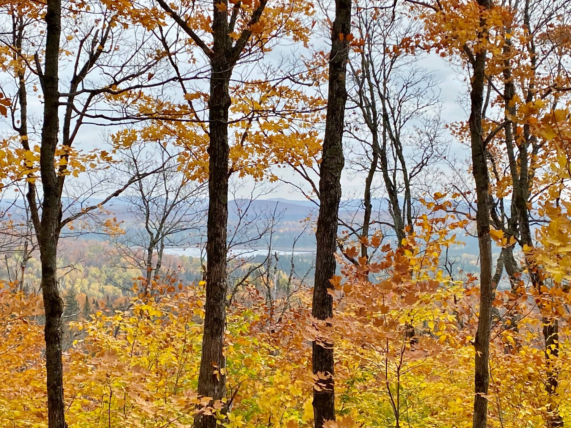 Vue sur l'eau