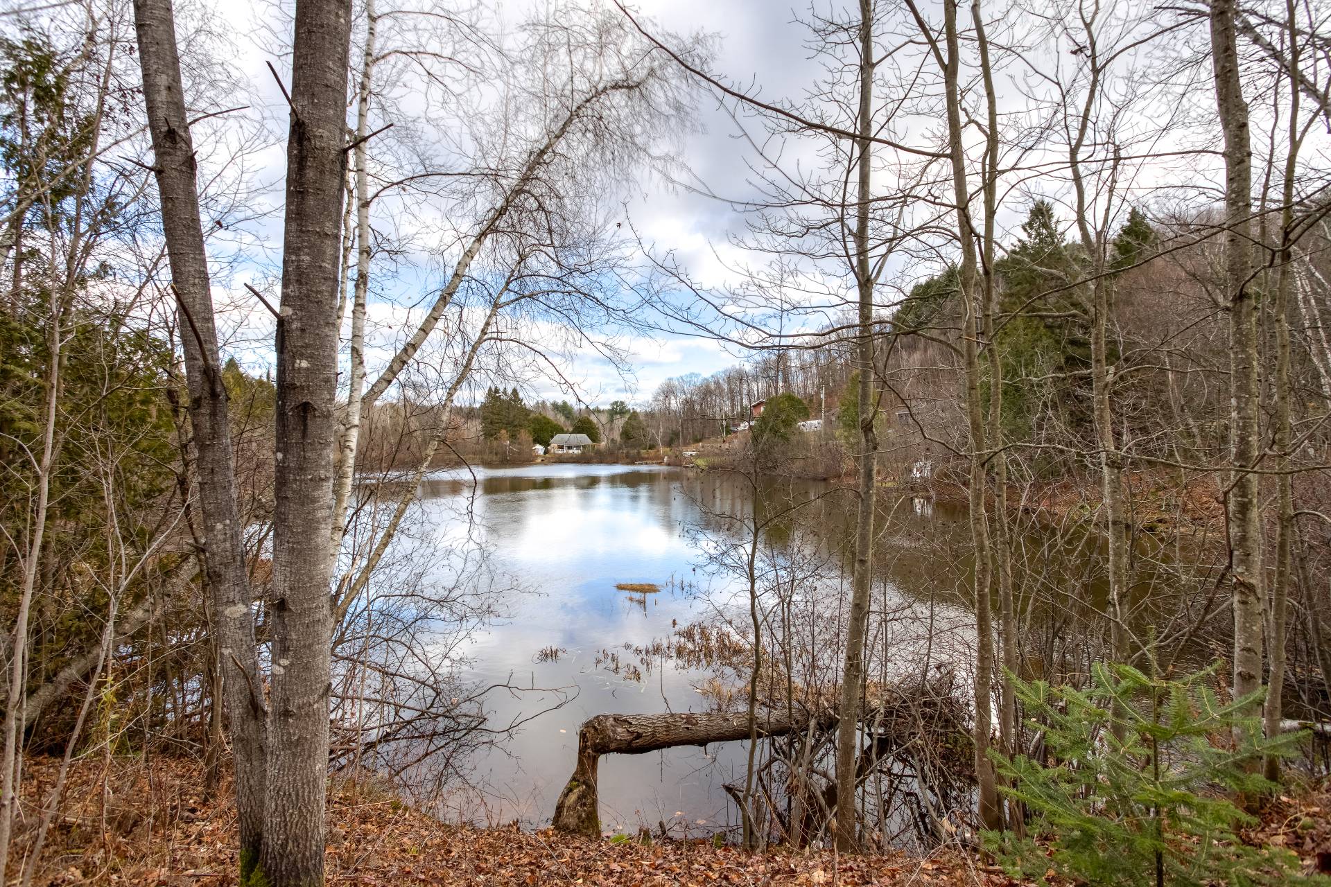 Vue sur l'eau