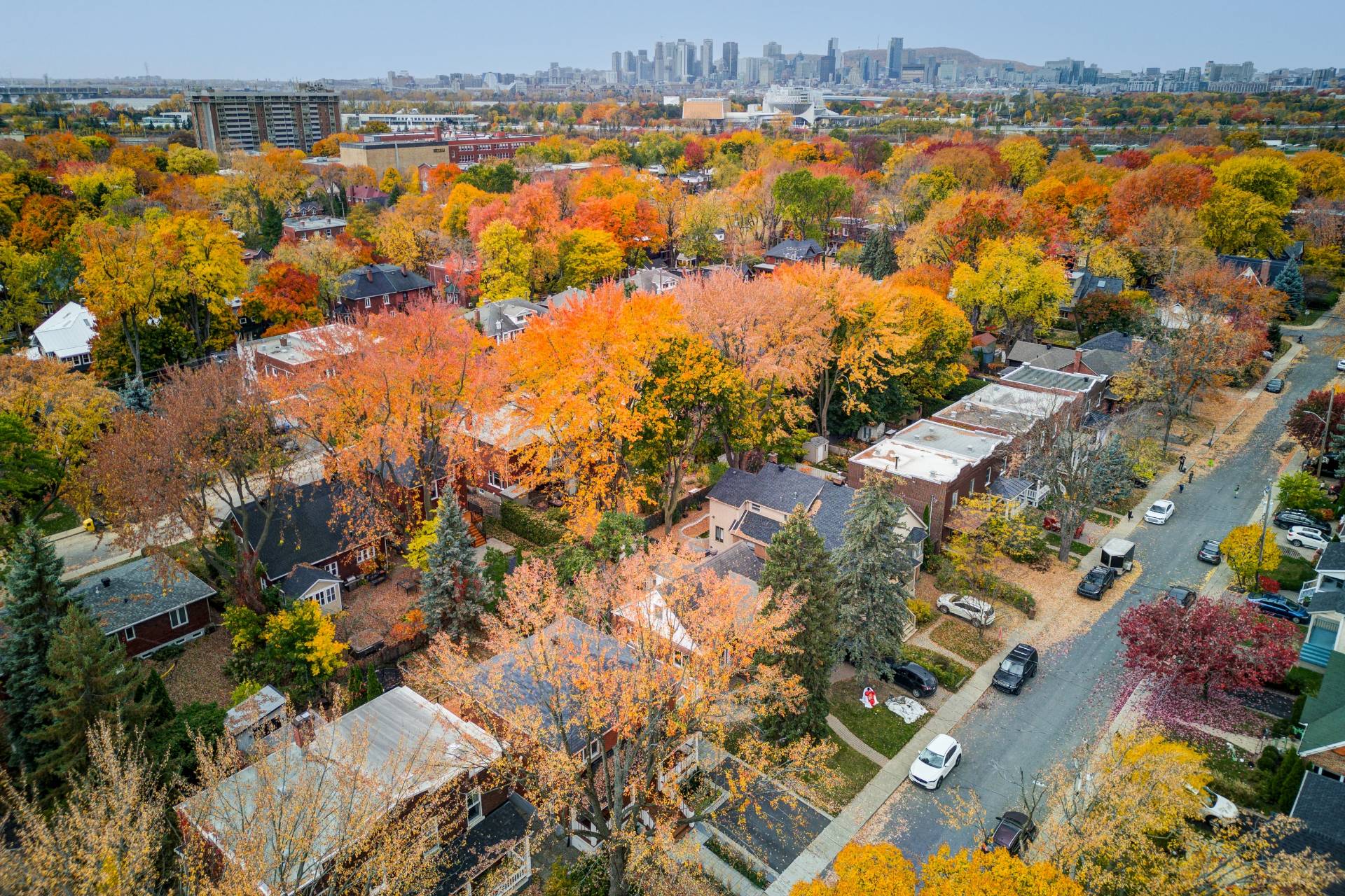 Aerial photo