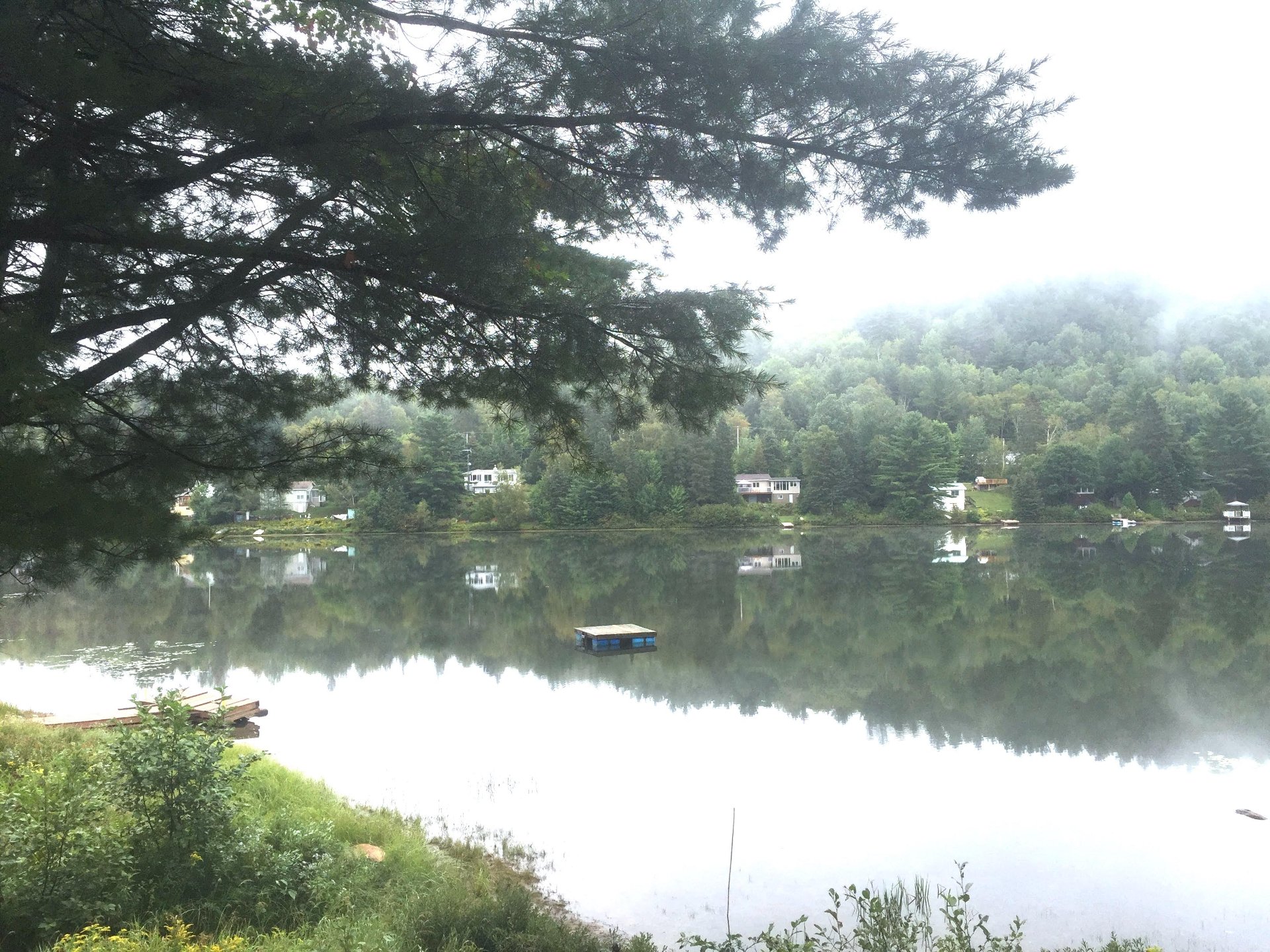 Vue sur l'eau