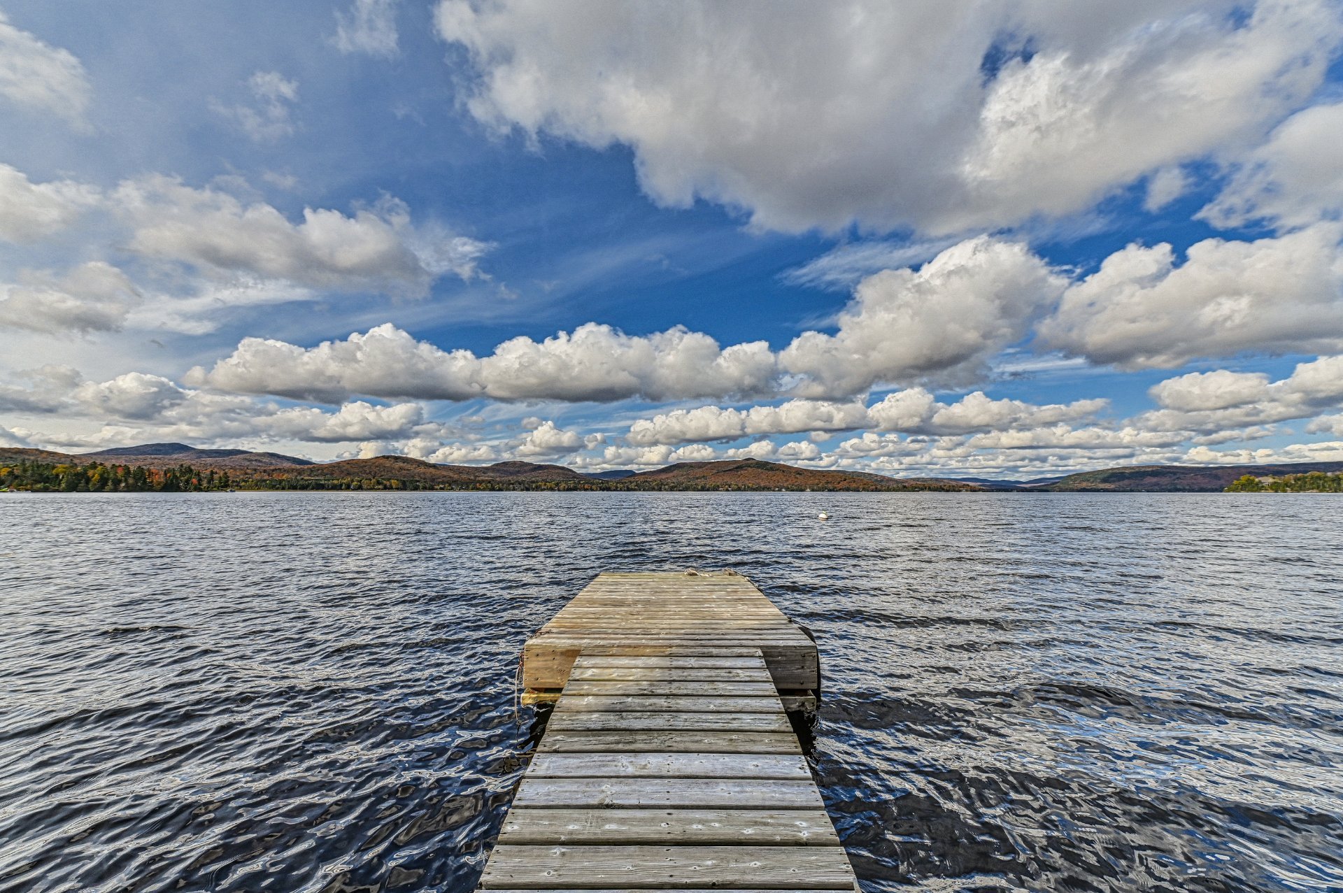 Bord de l'eau