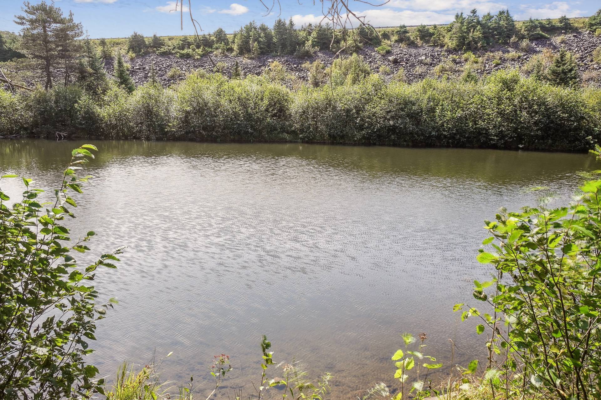 Vue sur l'eau