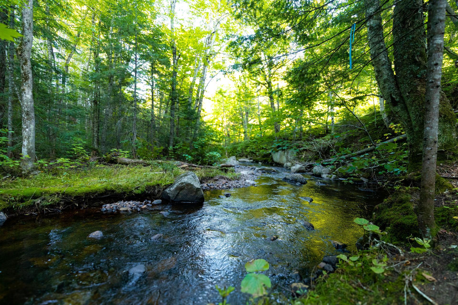 Accès au plan d'eau