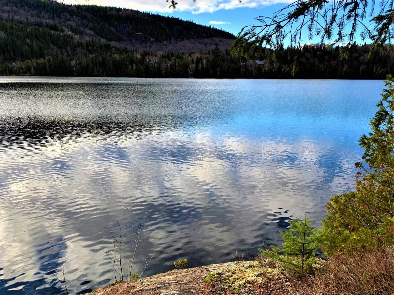 Vue sur l'eau