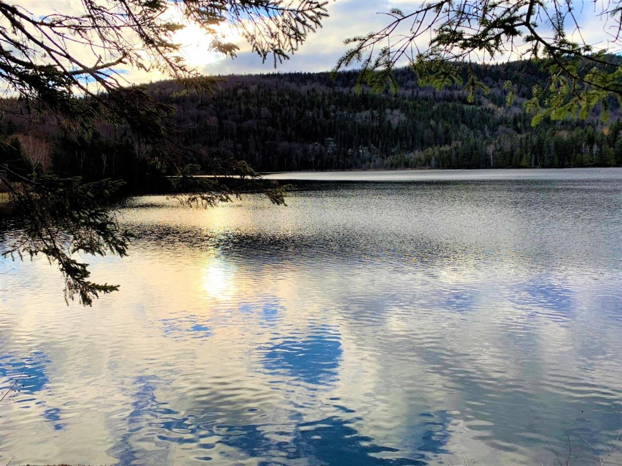 Vue sur l'eau