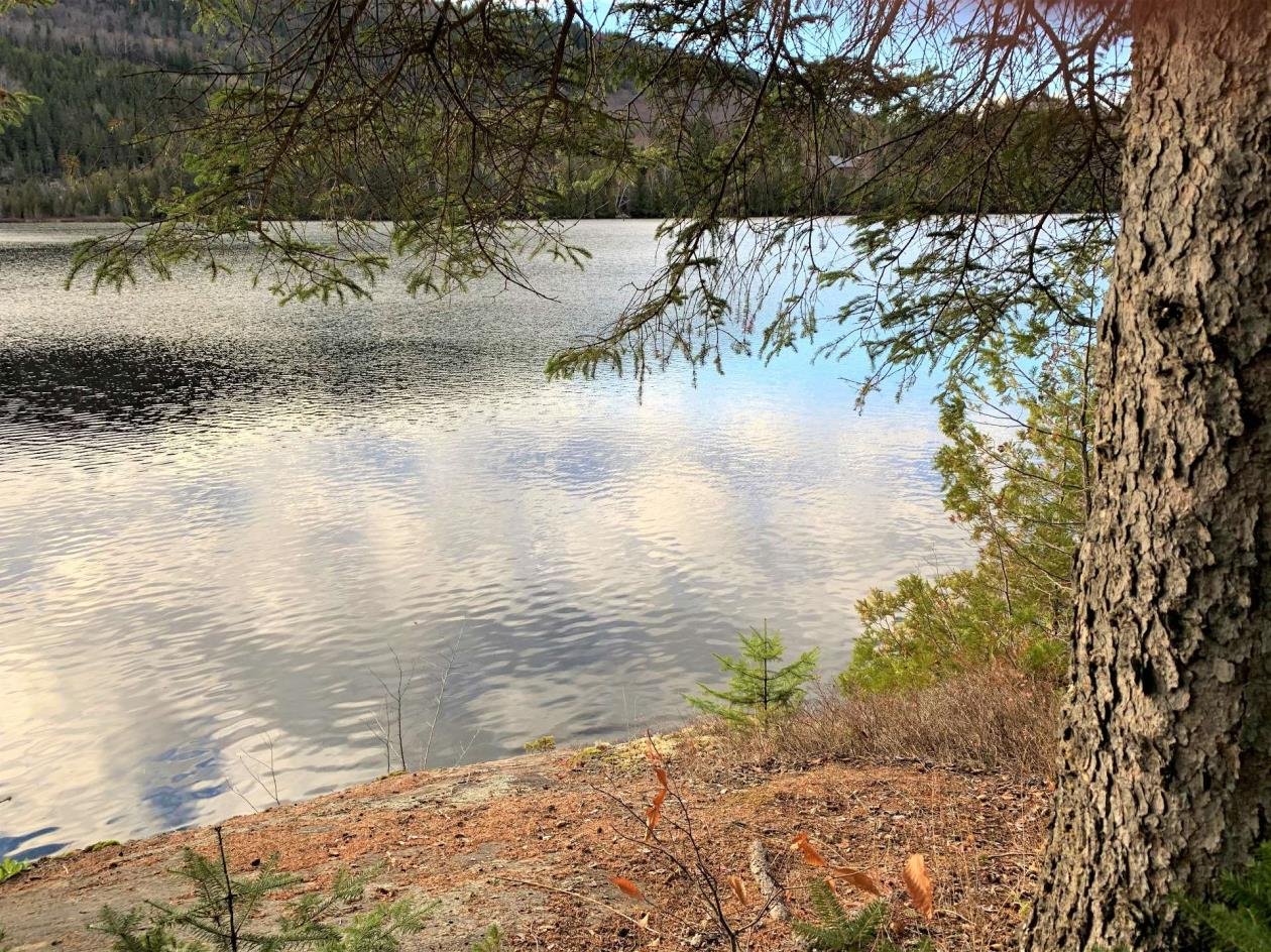 Vue sur l'eau