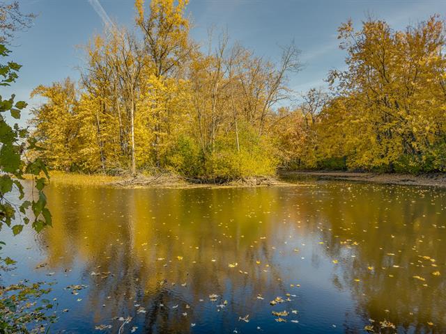 Vue sur l'eau