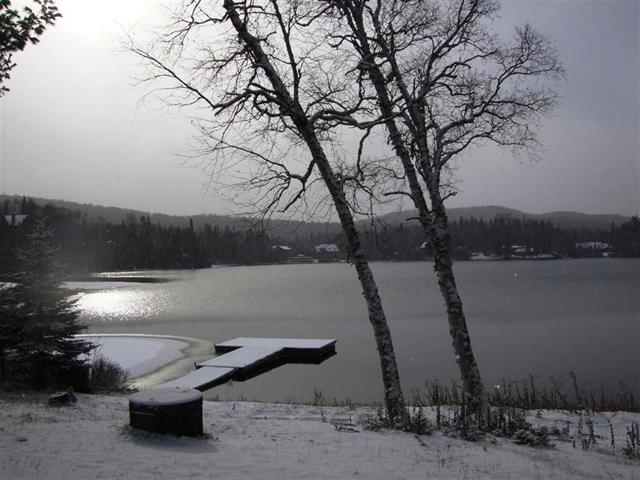 Bord de l'eau