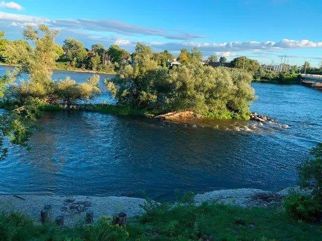 Vue sur l'eau